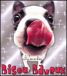 bisous !!!