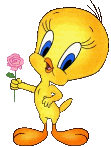 mignon !!